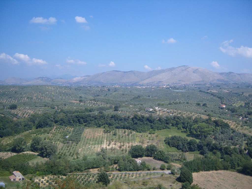 Colli Sabini - Montelibretti