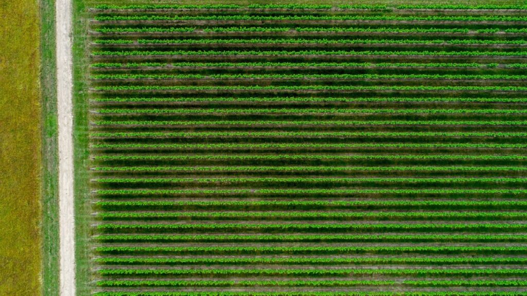 Agricoltura - Agricolture | Pomilids per attrezzatura agricolare da usato garantito