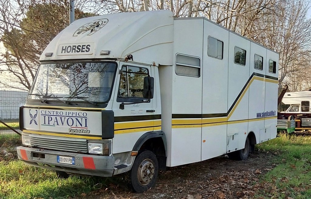 Camion trasporto cavalli
