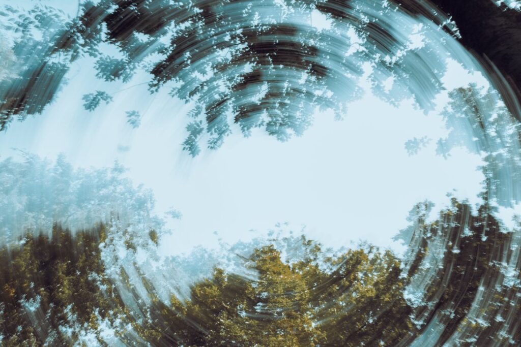 Cojanu Alexandru su pexels