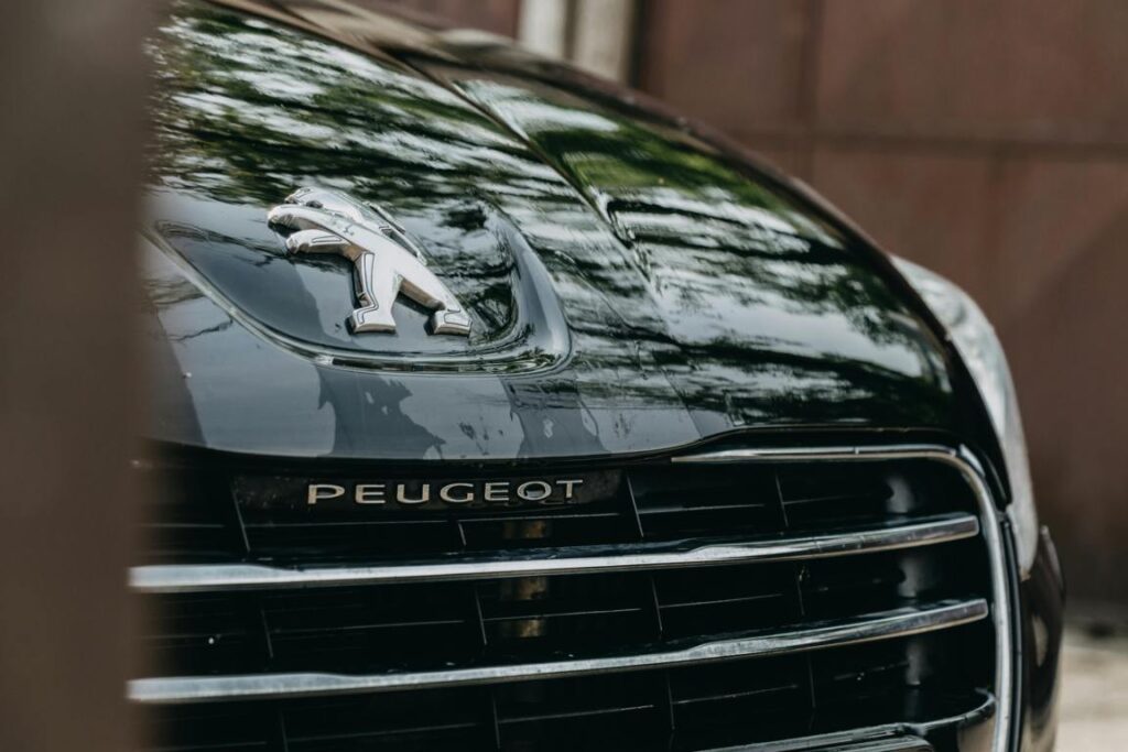 Peugeot - Matej su pexels
