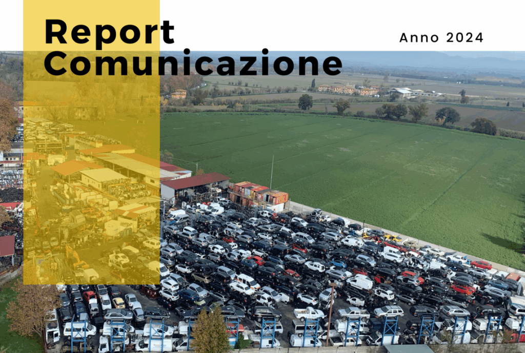 Report Comunicazione Pomilids 2024
