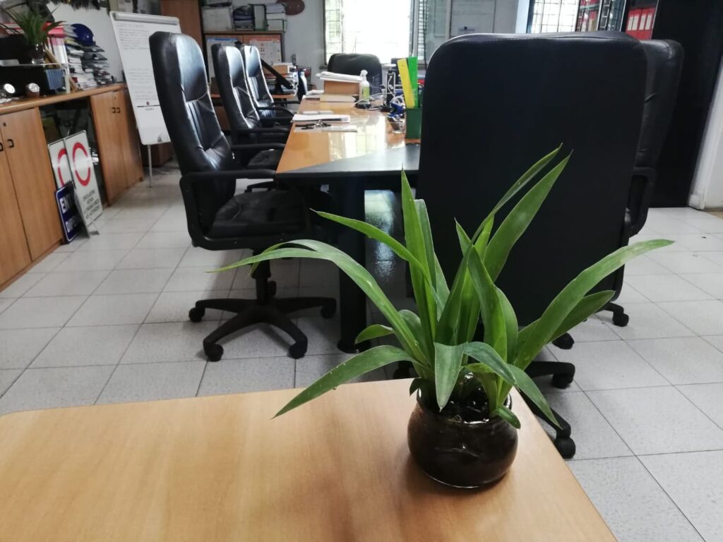 Ufficio - Pomili Demolizioni Speciali SRL