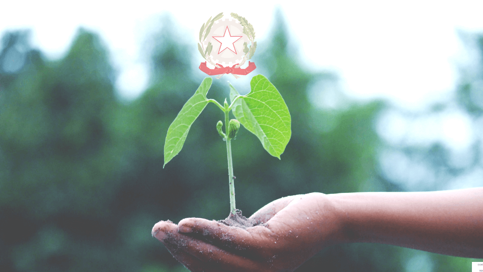 tutela ambiente Costutuzione